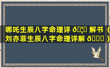 哪吒生辰八字命理详 🦄 解书（刘亦菲生辰八字命理详解 💐 ）